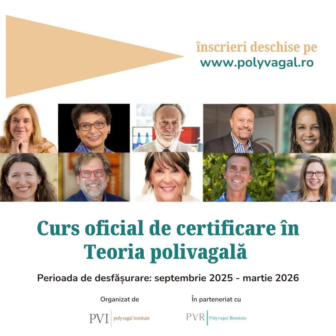 You are currently viewing Curs certificare gr. 2