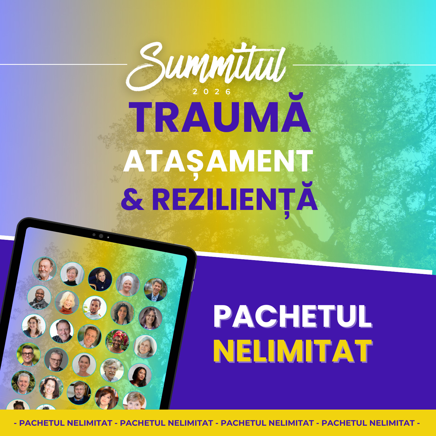 You are currently viewing Pachetul Nelimitat – Summitul trauma, atașament, reziliență 2026